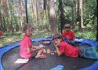 trampolina w Topolinie