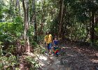 Penang National Park