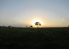 zachód nad sawanną w Mikumi