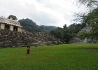 ruiny w Palenque
