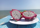dragon fruit, pitaja