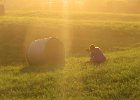 rolki w zachodzącym słońcu