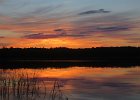 IMG 6255