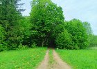 IMG 5923b
