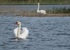 IMG 6075